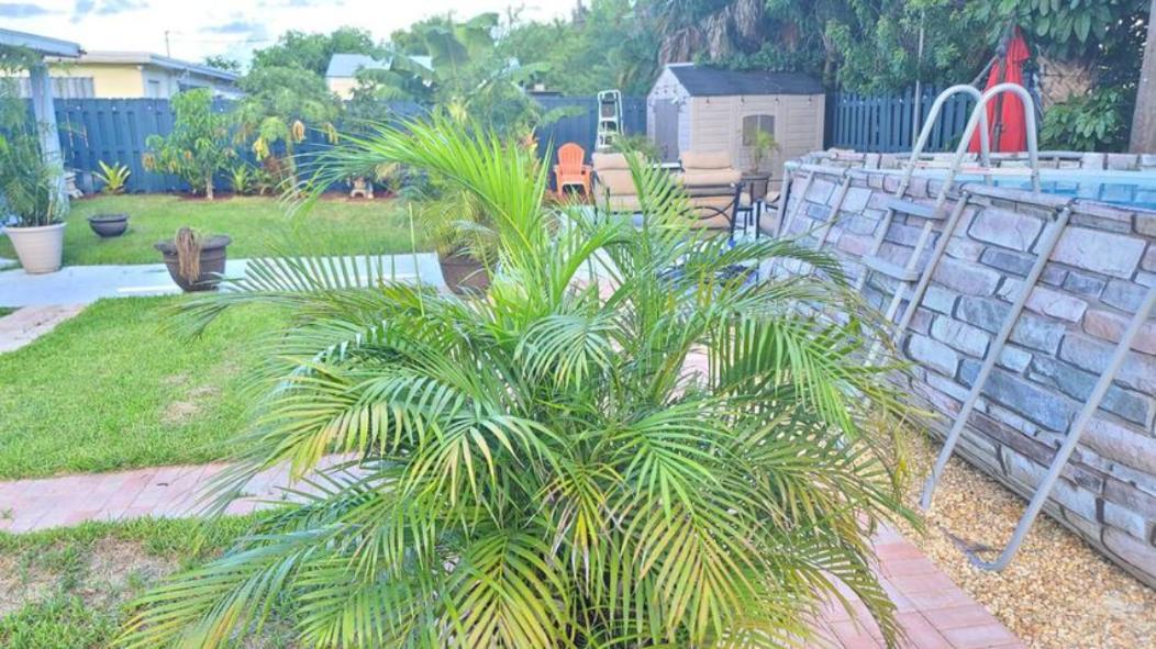 לייק וורת' Palm Springs 3-Bedroom 2-Bath 5 Miles To The Beach מראה חיצוני תמונה