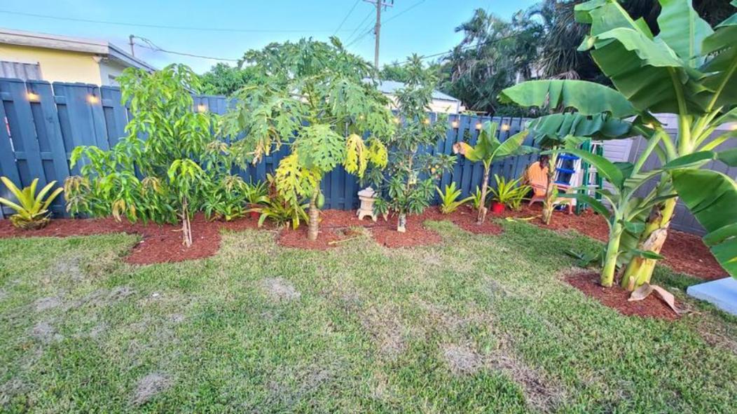 לייק וורת' Palm Springs 3-Bedroom 2-Bath 5 Miles To The Beach מראה חיצוני תמונה